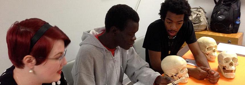 Three students working in Forensic Science